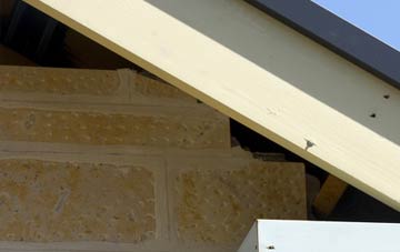 soffit repair Caerleon Or Caerllion